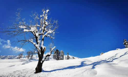 Day 3: Day trip to Gulmarg. Day 3: Day trip to Gulmarg.