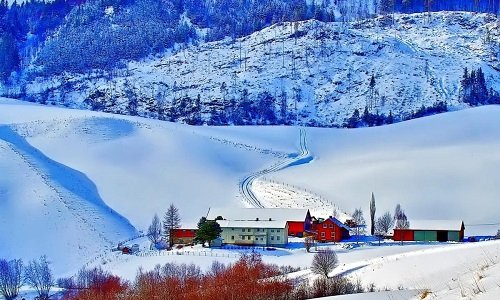 Manali & Shimla Manali & Shimla