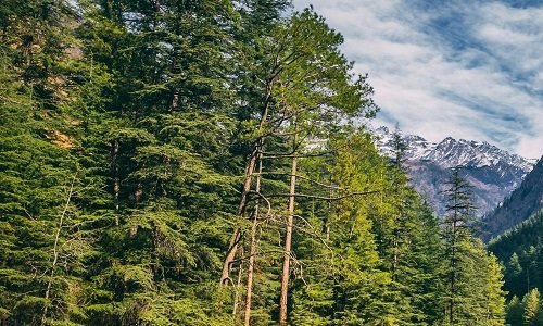 Himachal Pradesh Himachal Pradesh