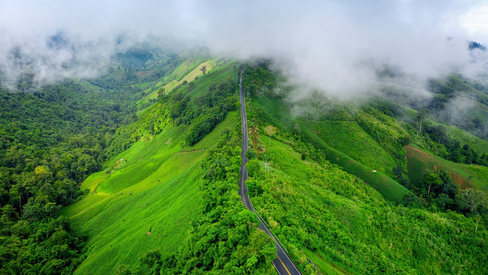 Shri Radha Tour And Travel Shri Radha Tour And Travel